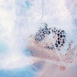 操白虎爆乳丰臀
