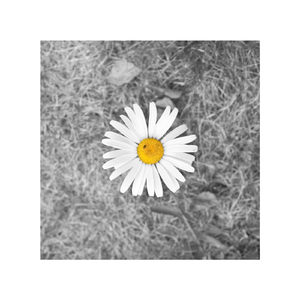 操白虎爆乳丰臀
