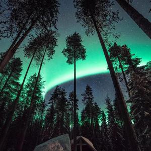 操白虎爆乳丰臀
